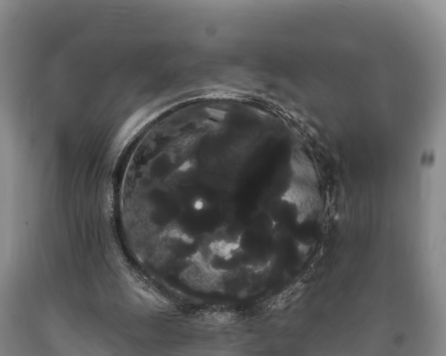 X0000090710247200707271137