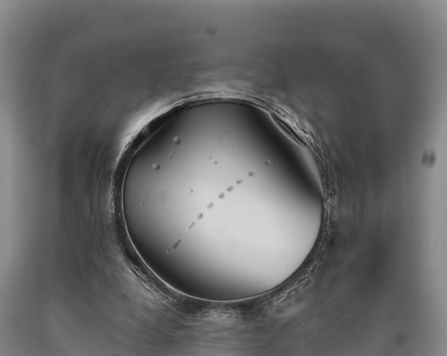 X0000090710248200707271137