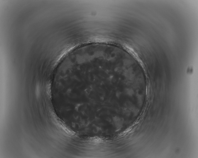 X0000090710249200707271137