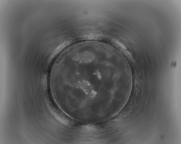 X0000090710250200707271137