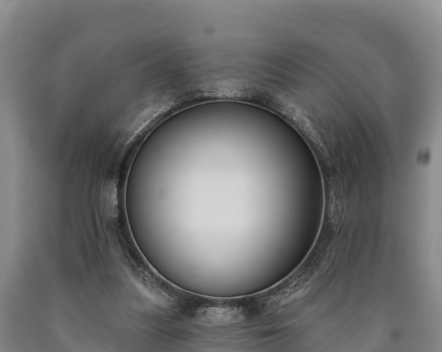 X0000090710251200707271137