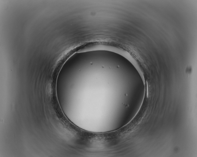 X0000090710252200707271137