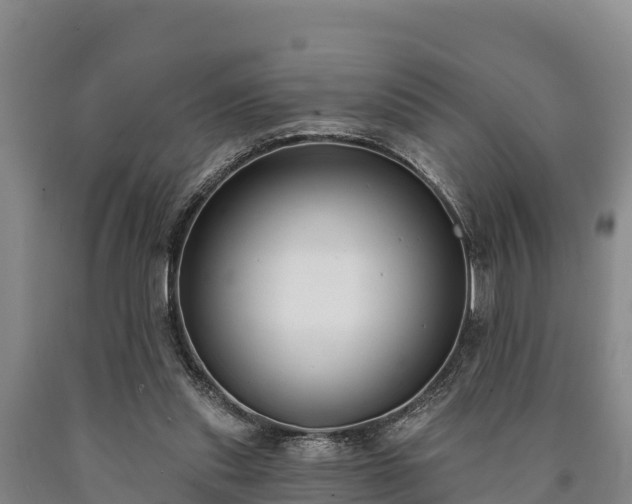 X0000090710253200707271137