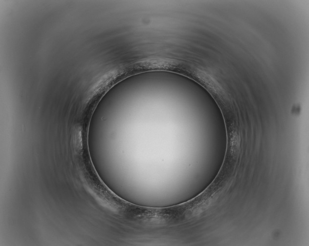 X0000090710254200707271137