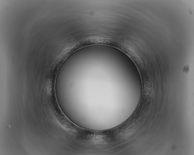 X0000090710255200707271137