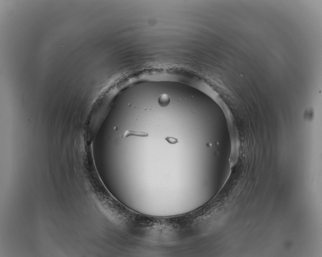 X0000090710256200707271137