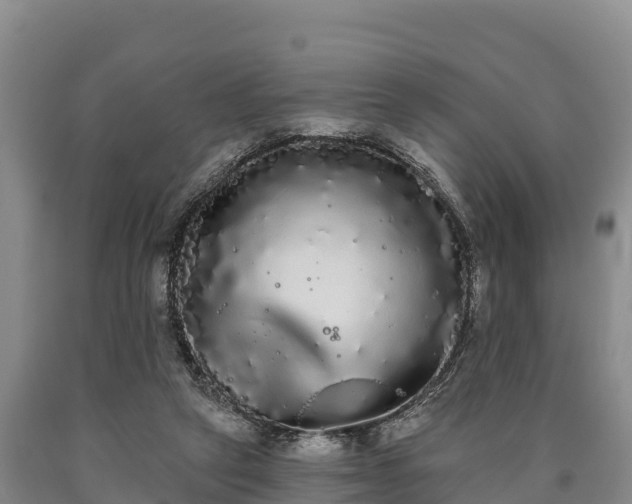 X0000090710257200707271137