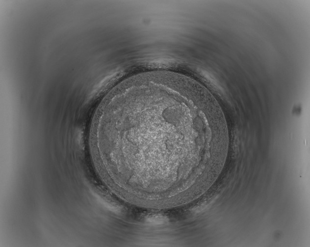 X0000090710258200707271137