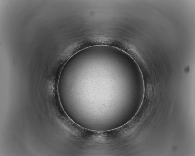 X0000090710259200707271137