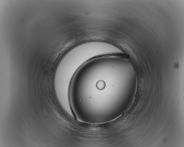 X0000090710260200707271137