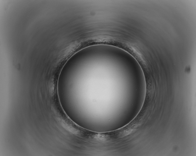 X0000090710261200707271137