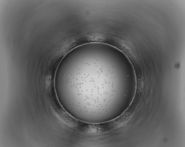 X0000090710263200707271137