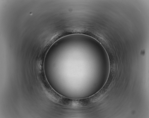 X0000090710264200707271137