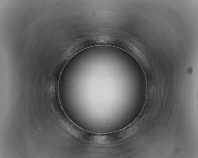 X0000090710265200707271137