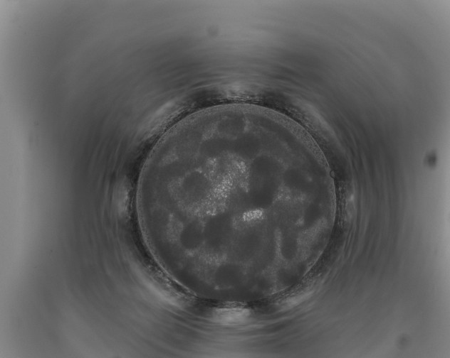 X0000090710266200707271137