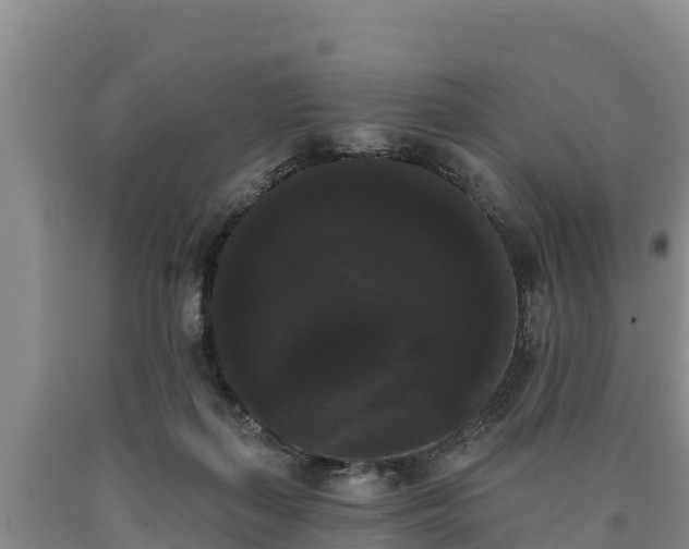 X0000090710267200707271137