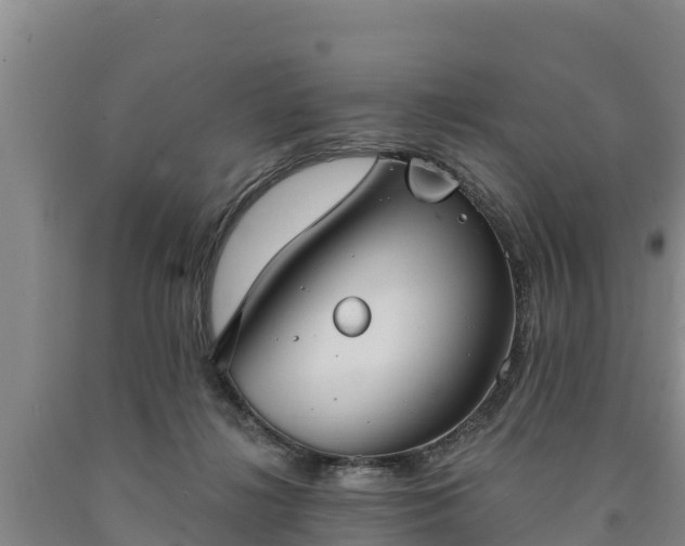 X0000090710268200707271137