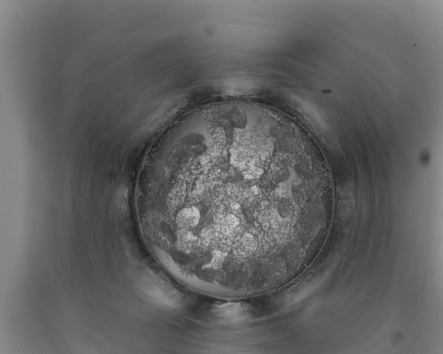 X0000090710269200707271137