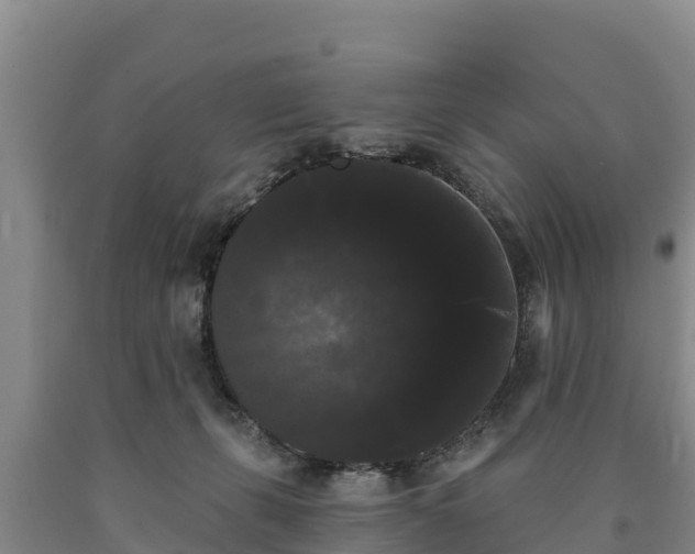 X0000090710271200707271137