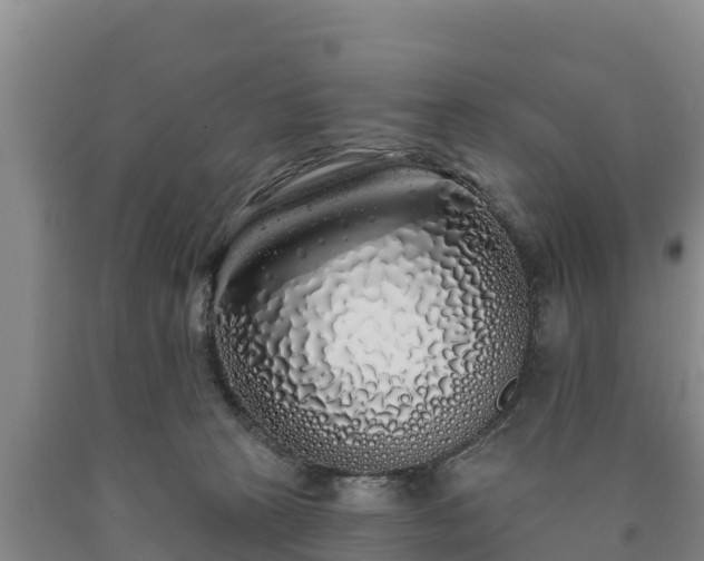 X0000090710273200707271137