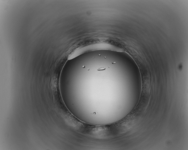 X0000090710274200707271137