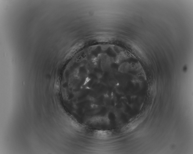 X0000090710277200707271137