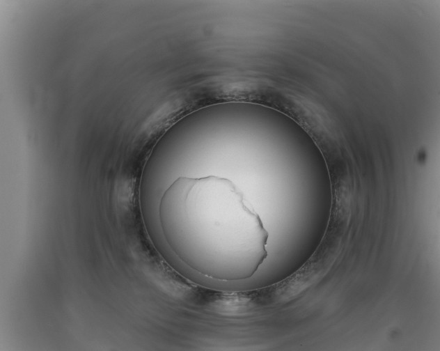 X0000090710278200707271137