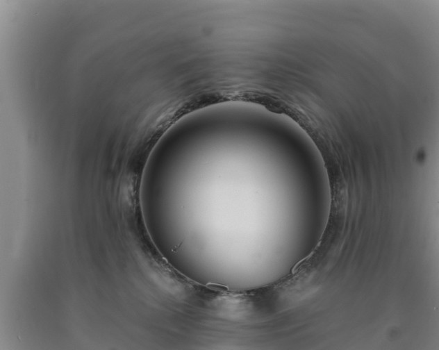 X0000090710280200707271137