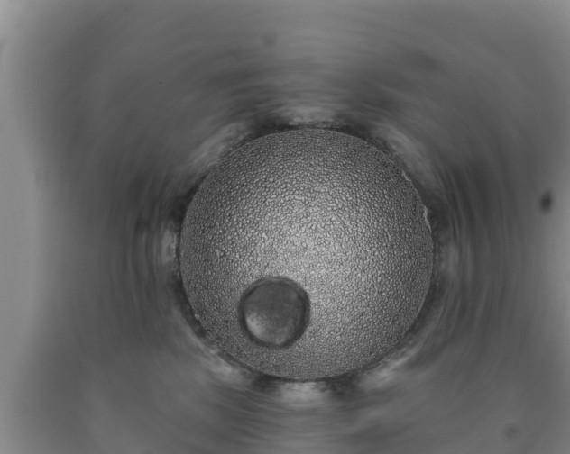 X0000090710281200707271137