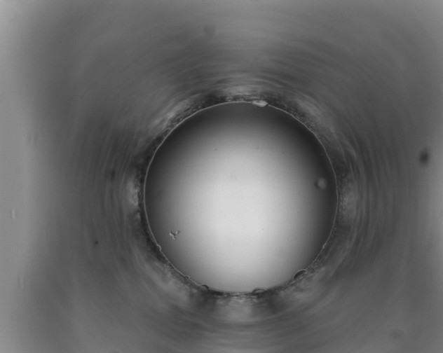 X0000090710282200707271137