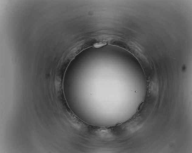 X0000090710283200707271137