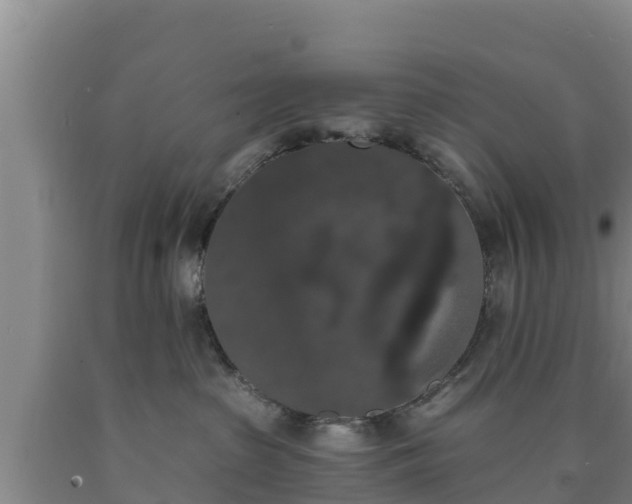 X0000090710285200707271138