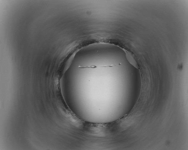 X0000090710288200707271138