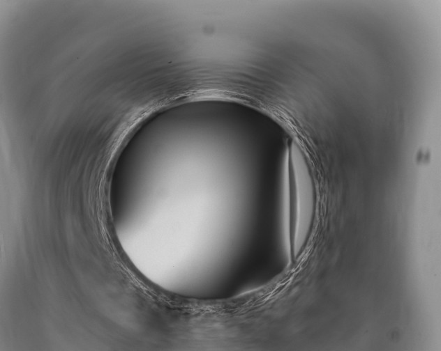 X0000090710289200707271137