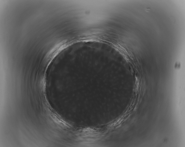 X0000090710290200707271137