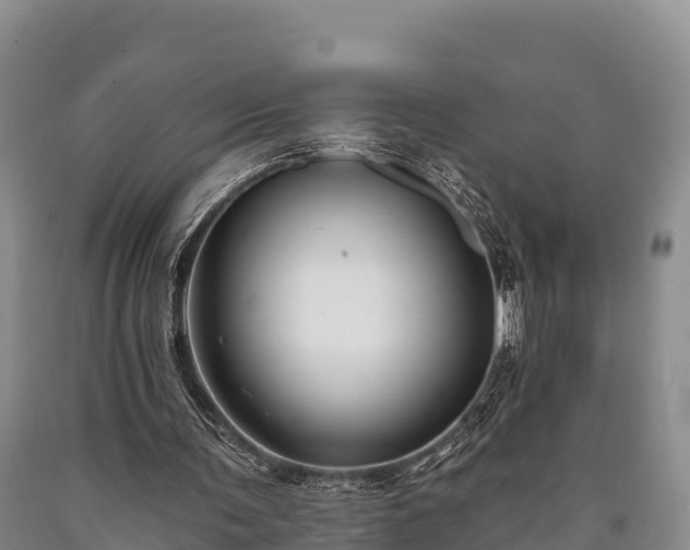 X0000090710291200707271137