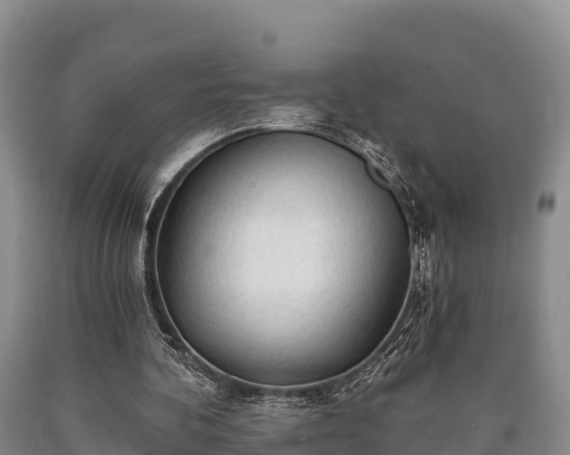 X0000090710292200707271137