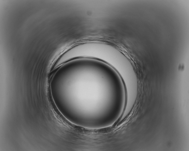 X0000090710293200707271137