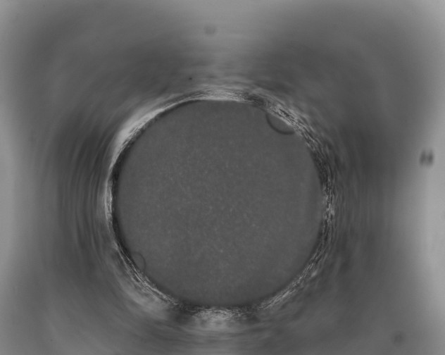 X0000090710294200707271137