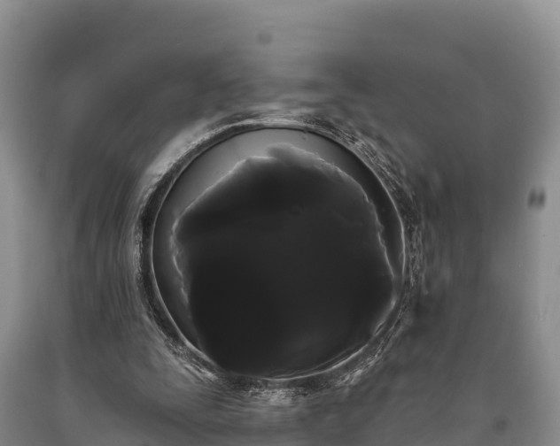 X0000090710295200707271137