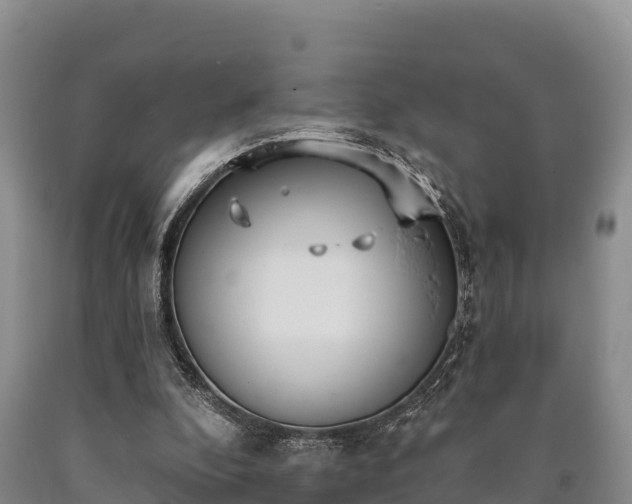 X0000090710296200707271137