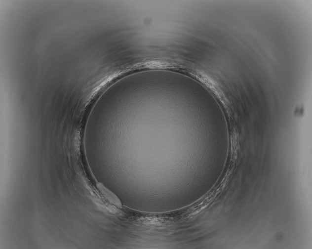 X0000090710297200707271137