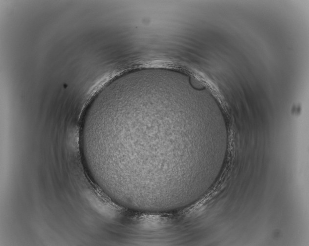 X0000090710298200707271137