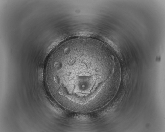 X0000090710299200707271137