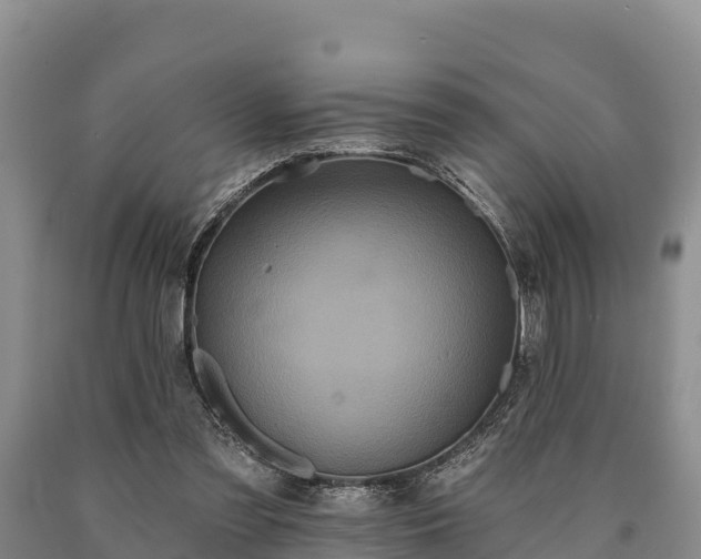 X0000090710301200707271137