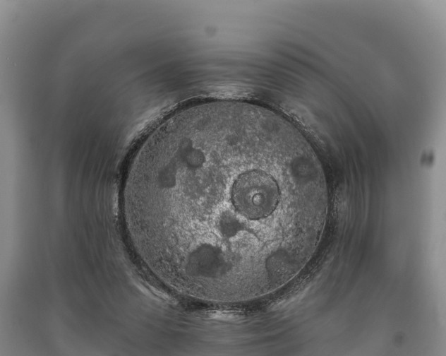 X0000090710303200707271137