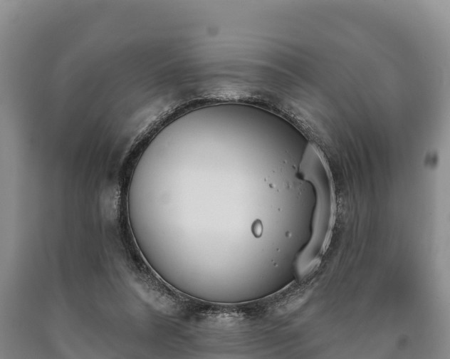 X0000090710304200707271137