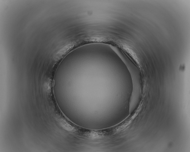 X0000090710305200707271137