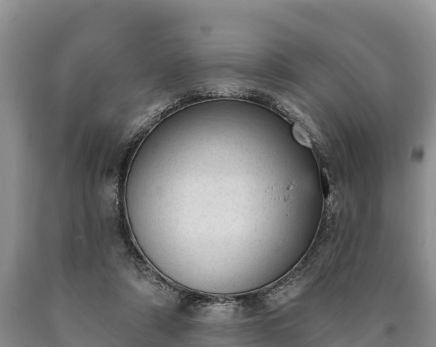 X0000090710306200707271137