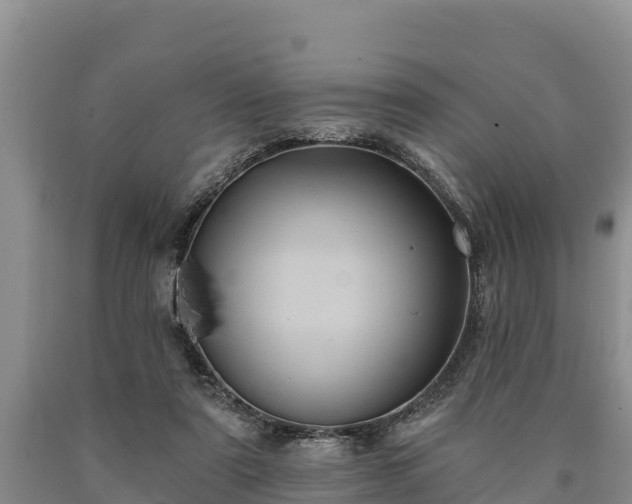 X0000090710307200707271137